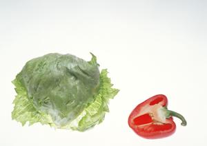 池袋で新鮮な海の幸と磯丸焼きを楽しめる「磯丸水産 池袋西口店」の魅力徹底ガイド