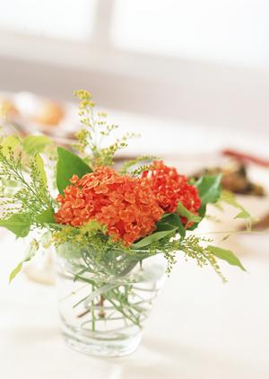 府中で新鮮な馬刺しと創作料理を楽しむ!都夏(つげ)| 京王府中の人気居酒屋